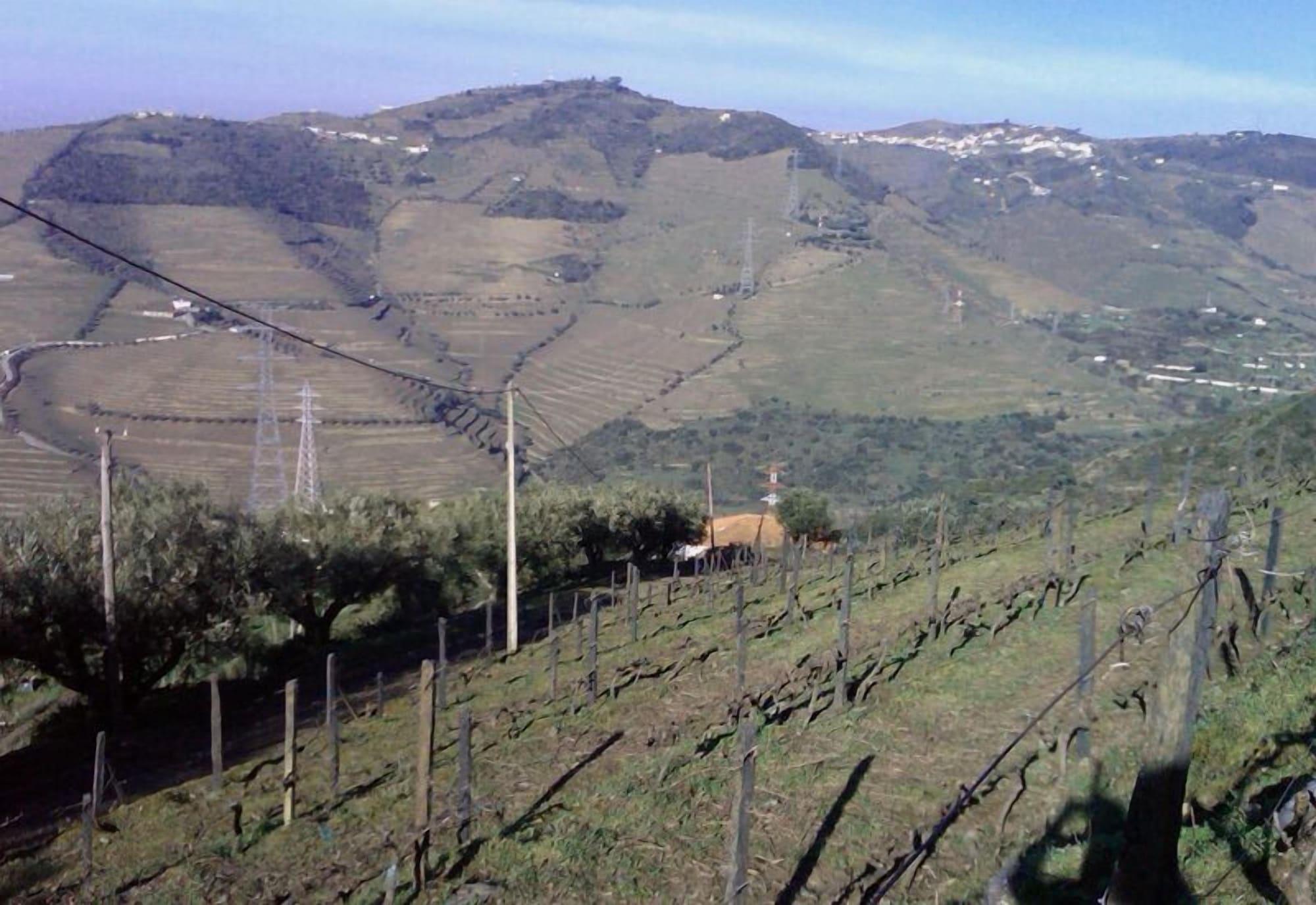 למאגו Quinta De Casaldronho Wine Hotel מראה חיצוני תמונה